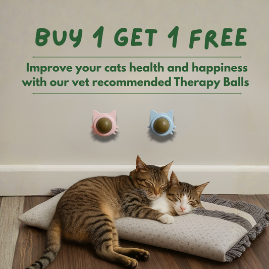 Kitty Therapy Ball™